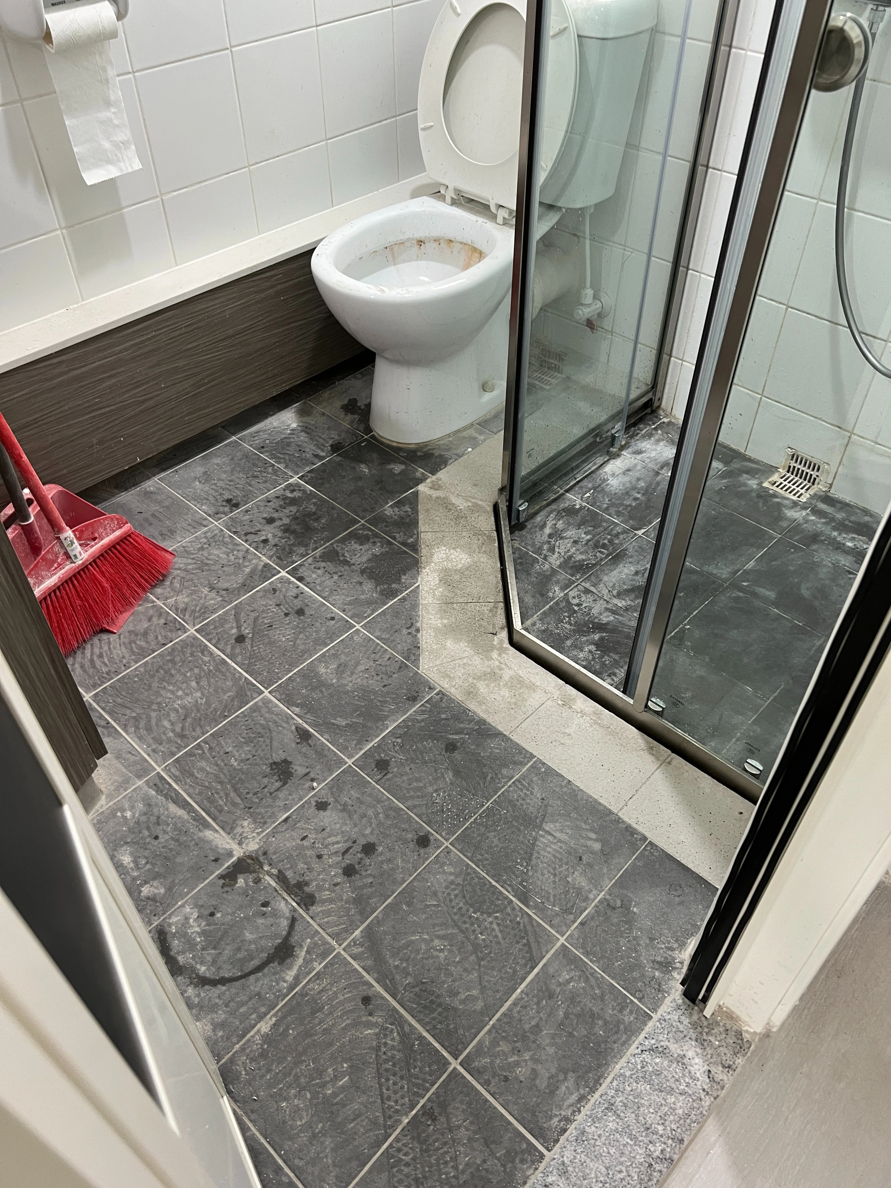 home-toilet-before